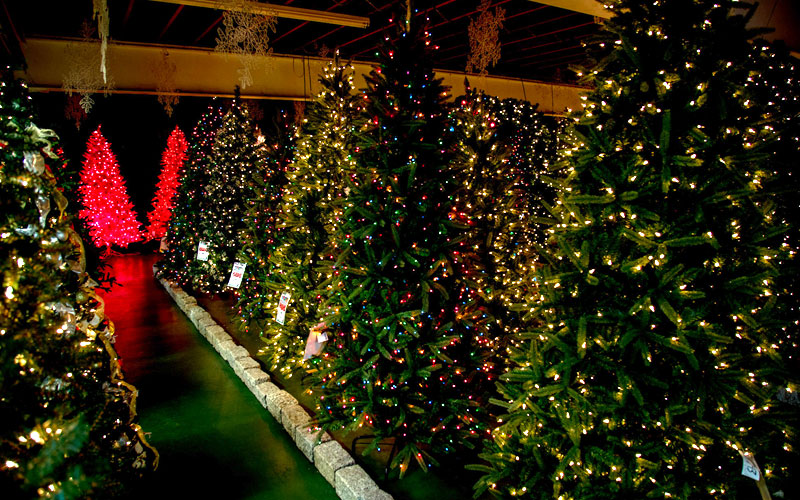 Q Gardens Patio and Garden Center Milford, CT